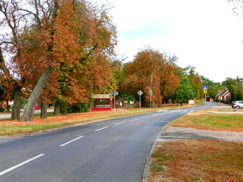 CIMG0179.JPG