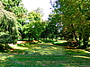 CIMG0183.JPG