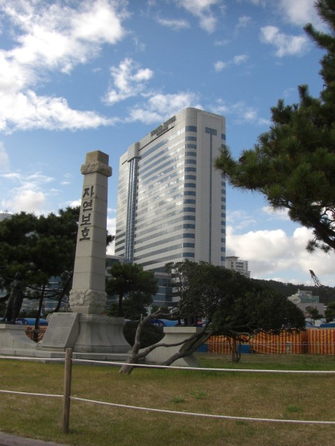 CIMG0516.jpg
