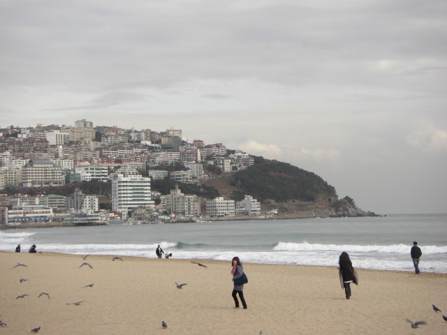 CIMG0517.jpg