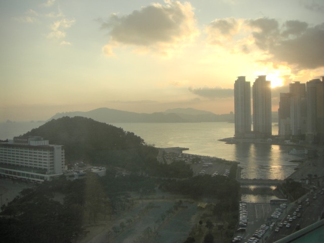 CIMG0530.jpg