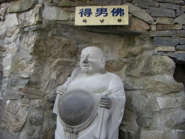 CIMG0543.jpg