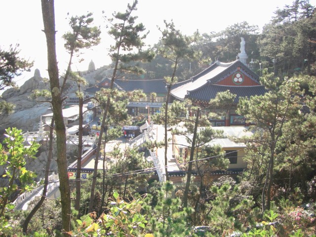 CIMG0544.jpg