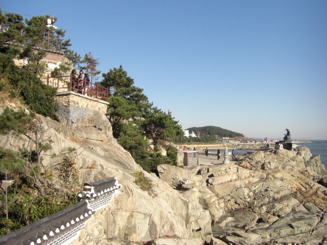 CIMG0547.jpg
