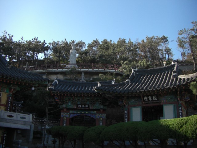 CIMG0550.jpg