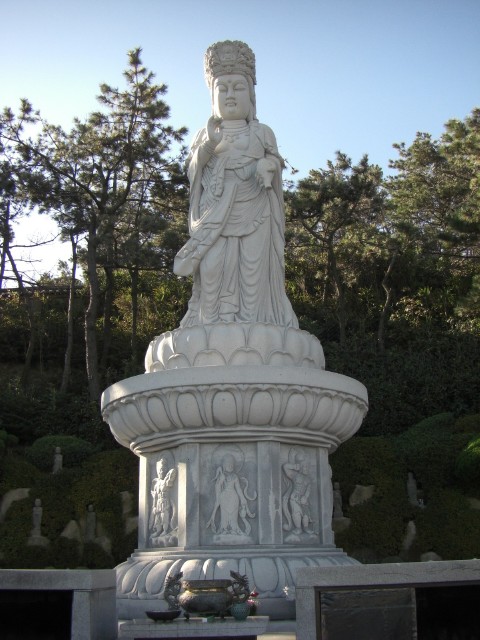 CIMG0553.jpg