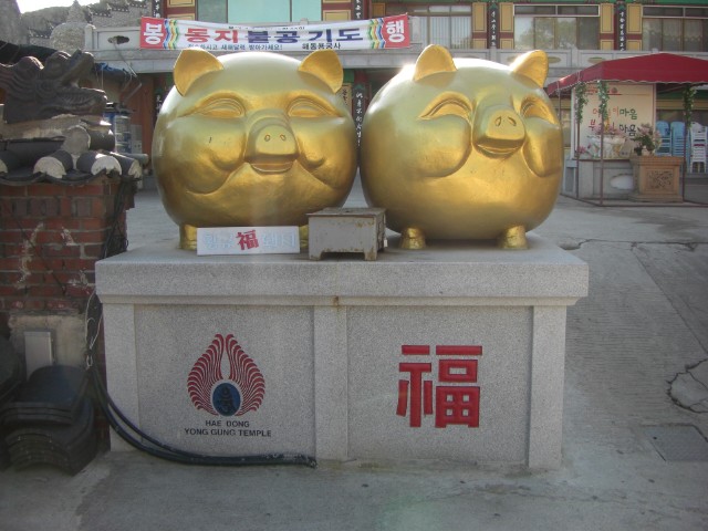 CIMG0561.jpg