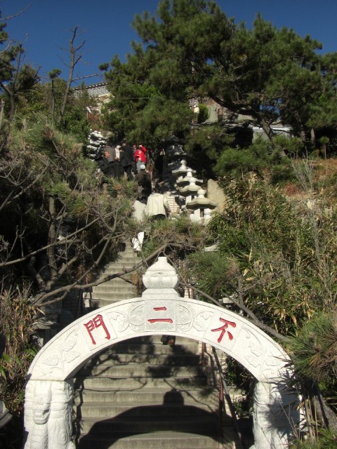 CIMG0567.jpg