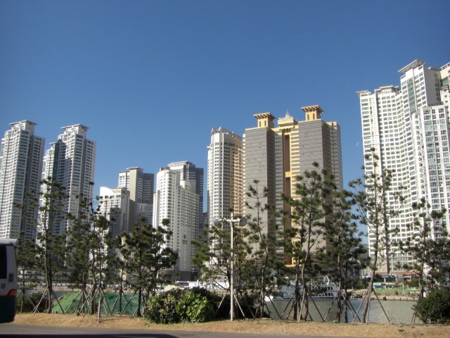 CIMG0574.jpg