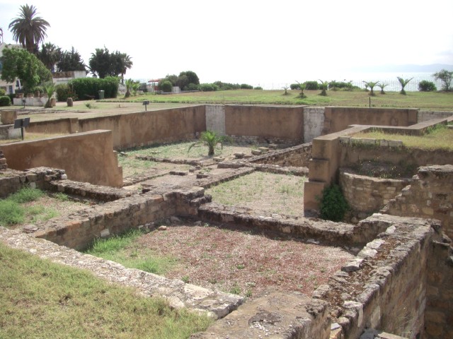CIMG0064.jpg