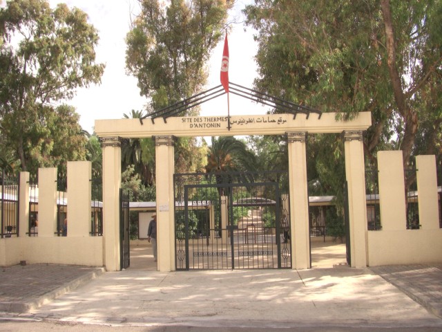 CIMG0067.jpg