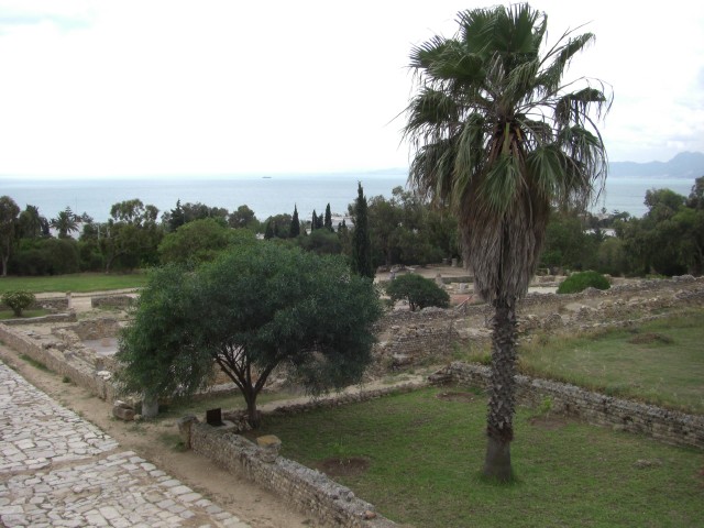 CIMG0073.jpg