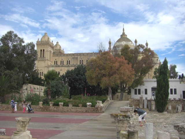 CIMG0080.jpg