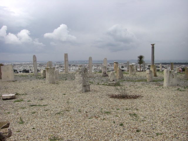 CIMG0081.jpg