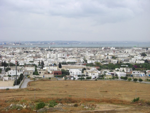 CIMG0082.jpg