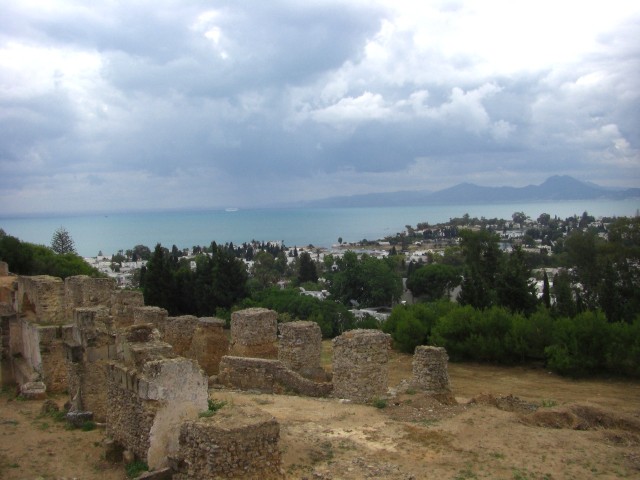 CIMG0083.jpg