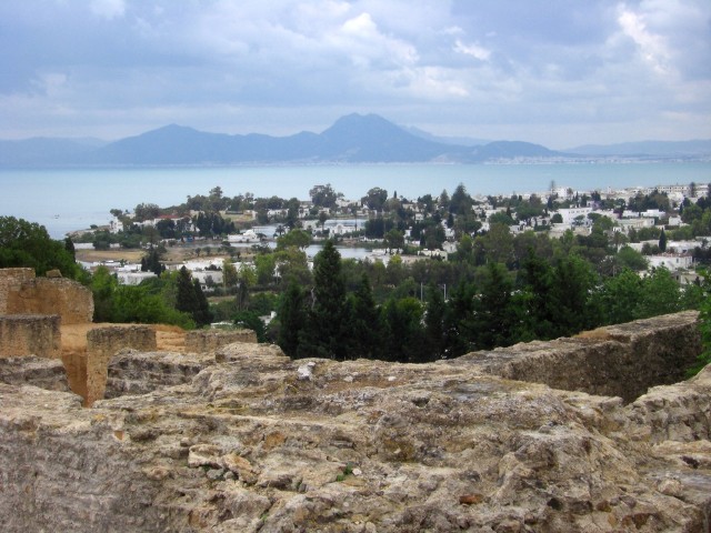 CIMG0084.jpg