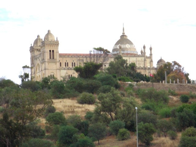 CIMG0087.jpg