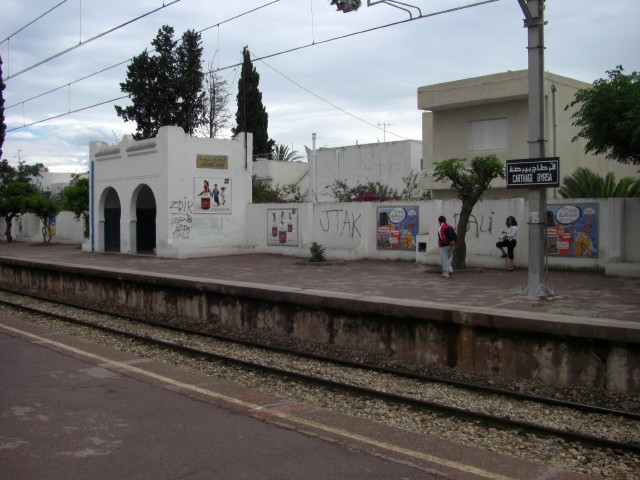 CIMG0088.jpg