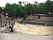 CIMG0076
