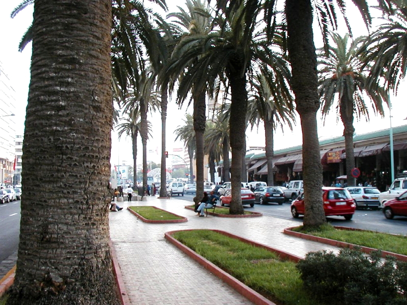 p1010763.jpg
