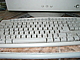 p1010894.jpg