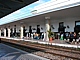 p1010899.jpg