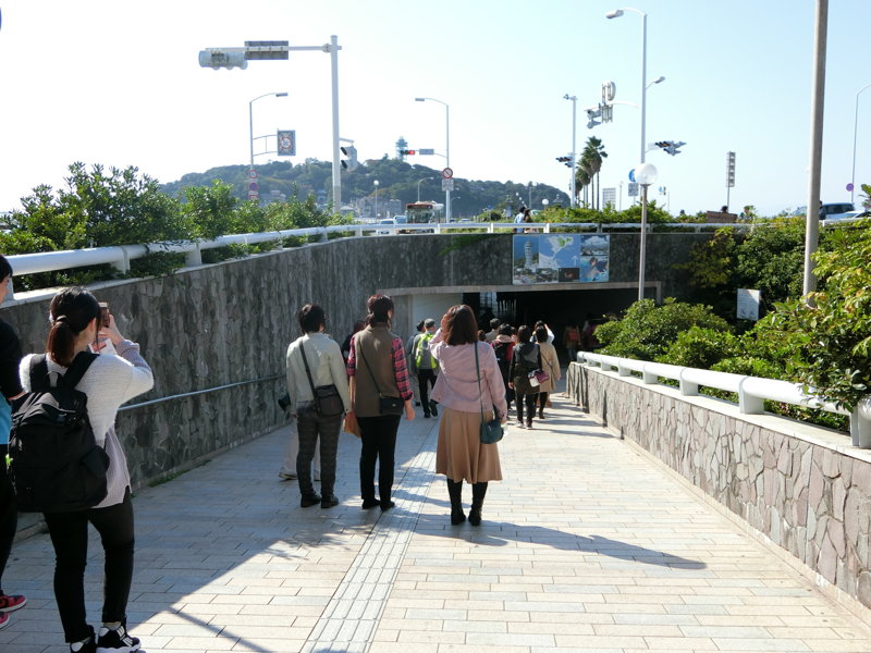CIMG0634.JPG