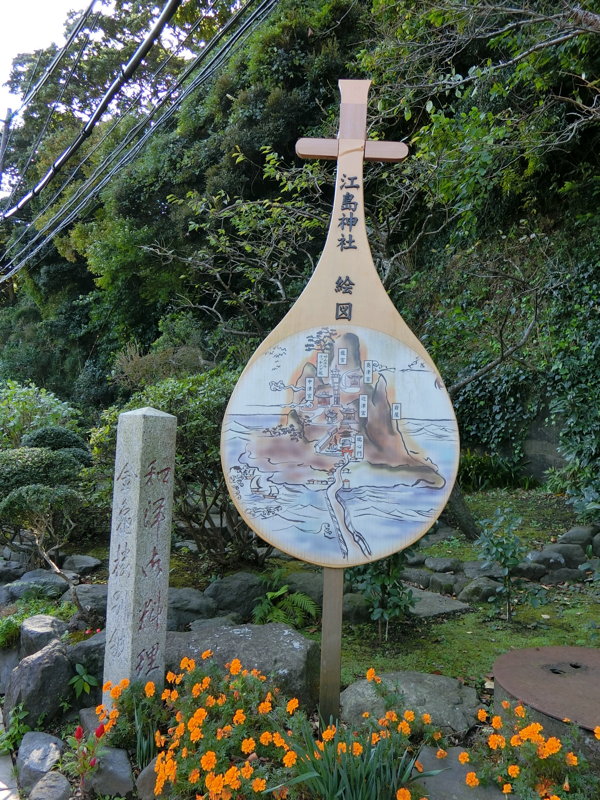 CIMG0653.JPG