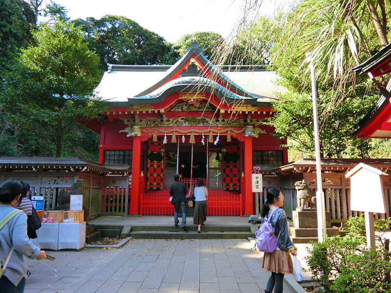 CIMG0655.JPG