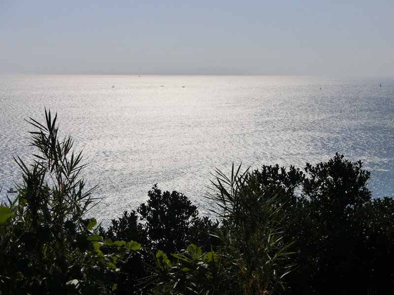CIMG0656.JPG
