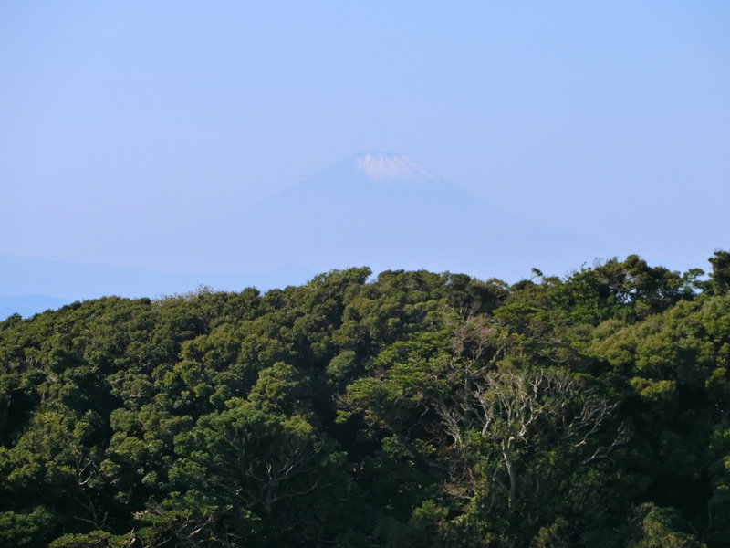 CIMG0657.JPG