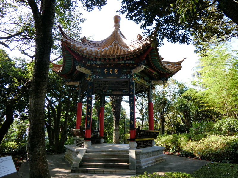 CIMG0675.JPG