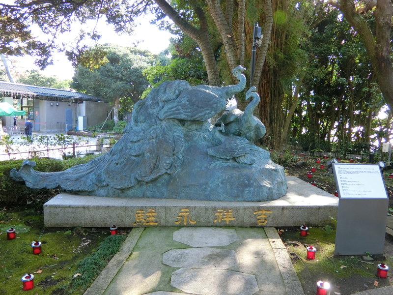 CIMG0676.JPG
