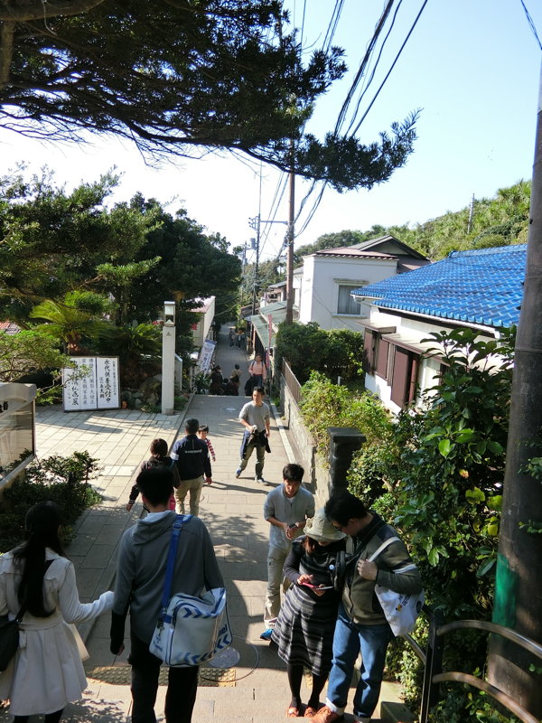 CIMG0680.JPG