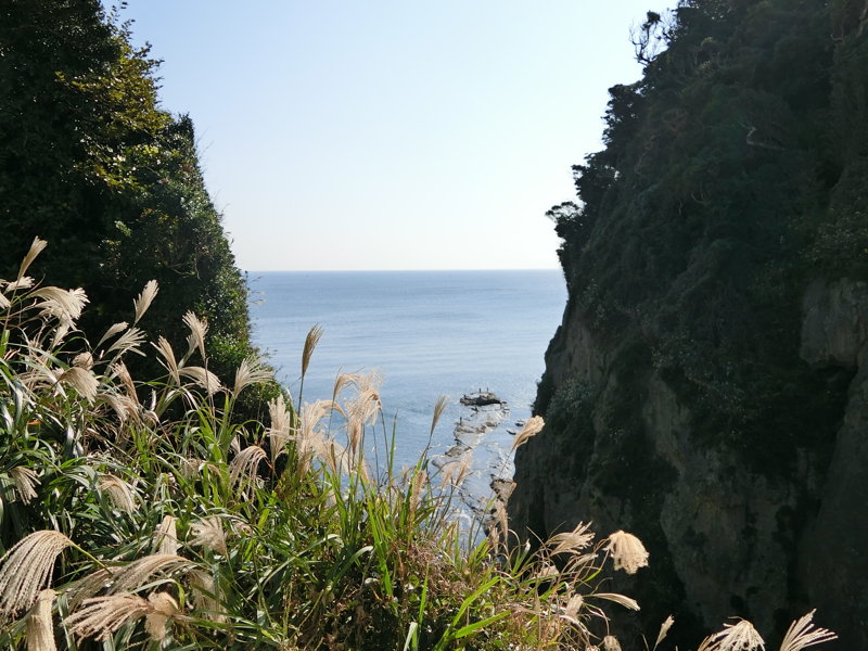 CIMG0684.JPG