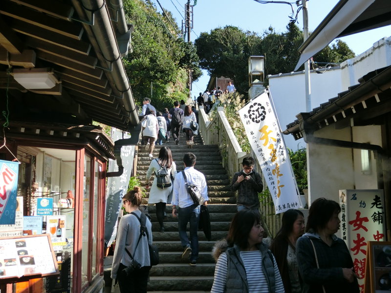 CIMG0685.JPG