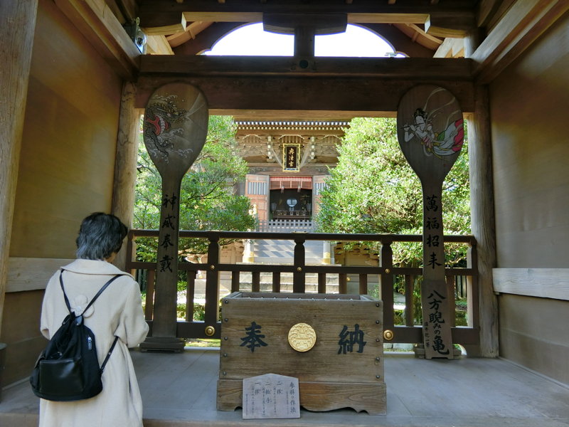 CIMG0689.JPG