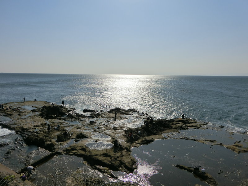 CIMG0695.JPG