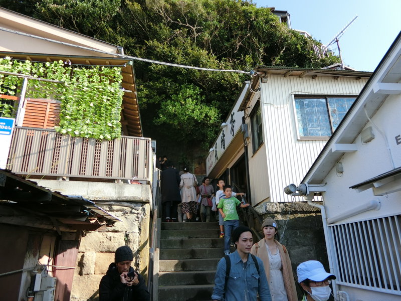 CIMG0722.JPG