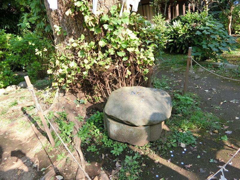 CIMG0723.JPG