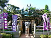 CIMG0690.JPG