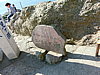 CIMG0696.JPG