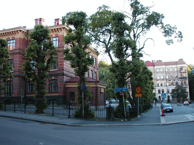 p1010609.jpg