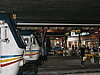 p1010584.jpg