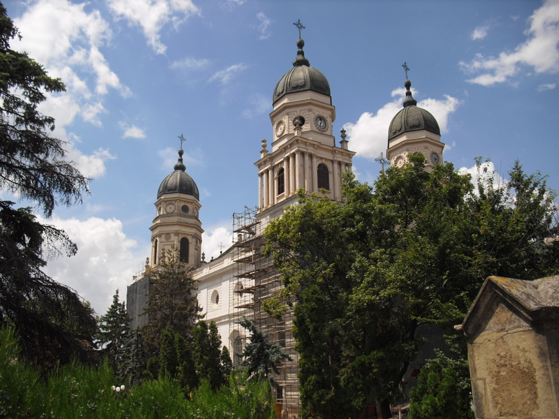 cimg8455.jpg