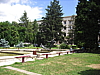 cimg8436.jpg