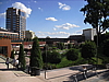 cimg8443.jpg