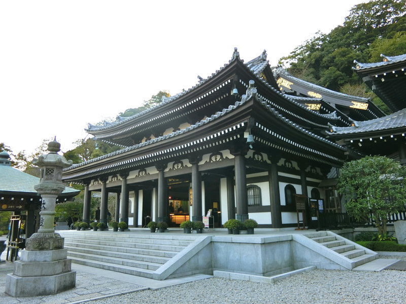 CIMG0381.JPG
