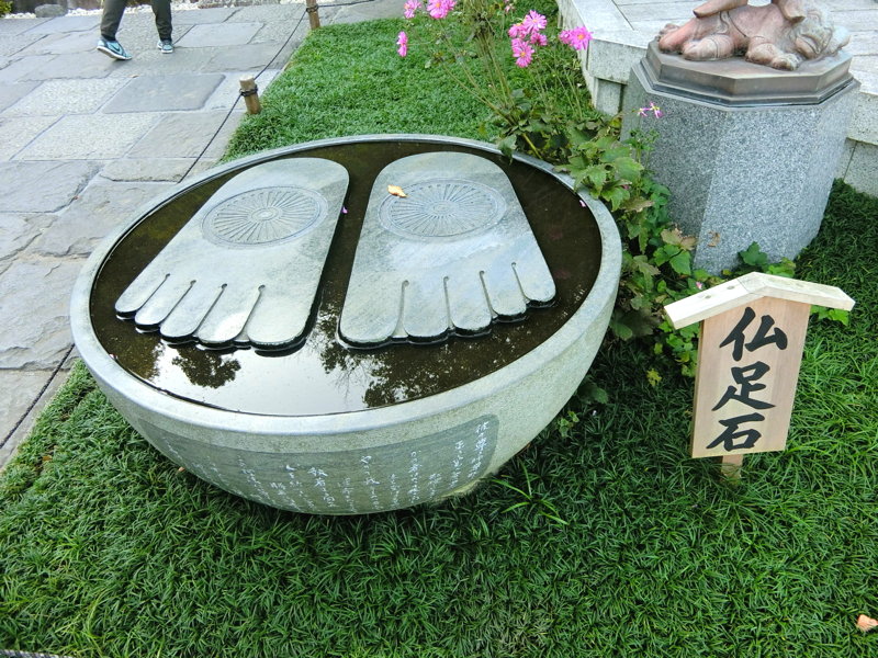 CIMG0390.JPG